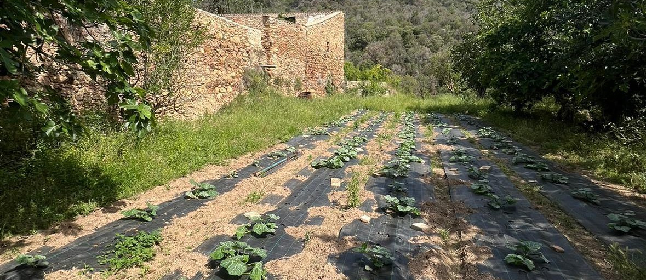 Can Ferriol, a model of sustainable recovery and innovation in Sant Feliu