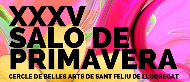 The XXXV Spring Salon presents the works of thirty artists from the Cercle de Belles Arts