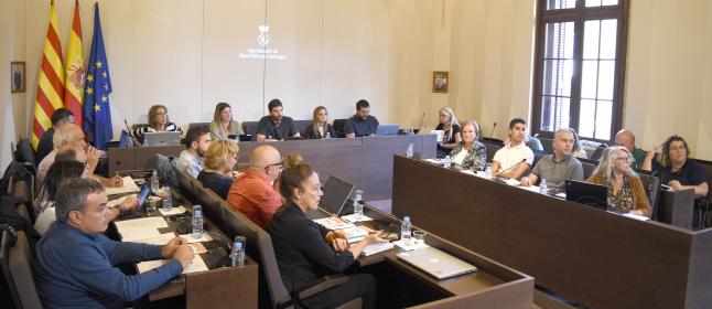 El ple aprova per unanimitat concedir el Mocador d'Honor de la Festa de Tardor 2022 a Mireia Amigó